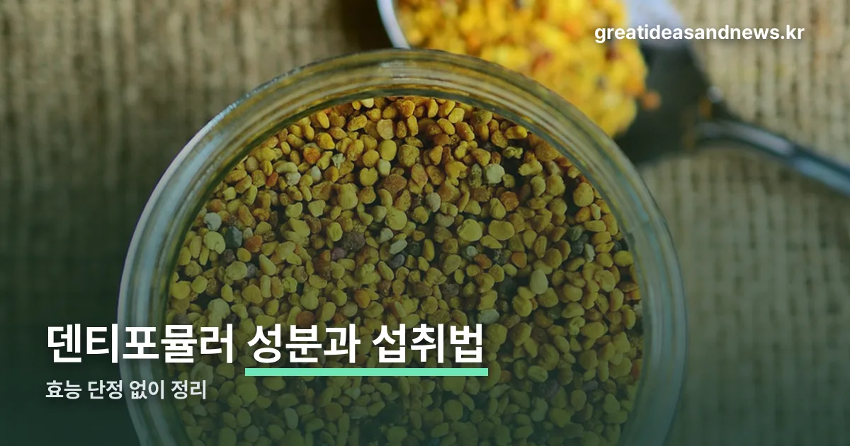 덴티포뮬러 효능 가격 정리 썸네일