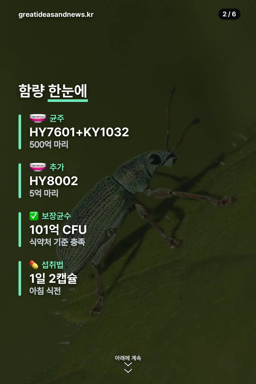 함량 한눈에 정리