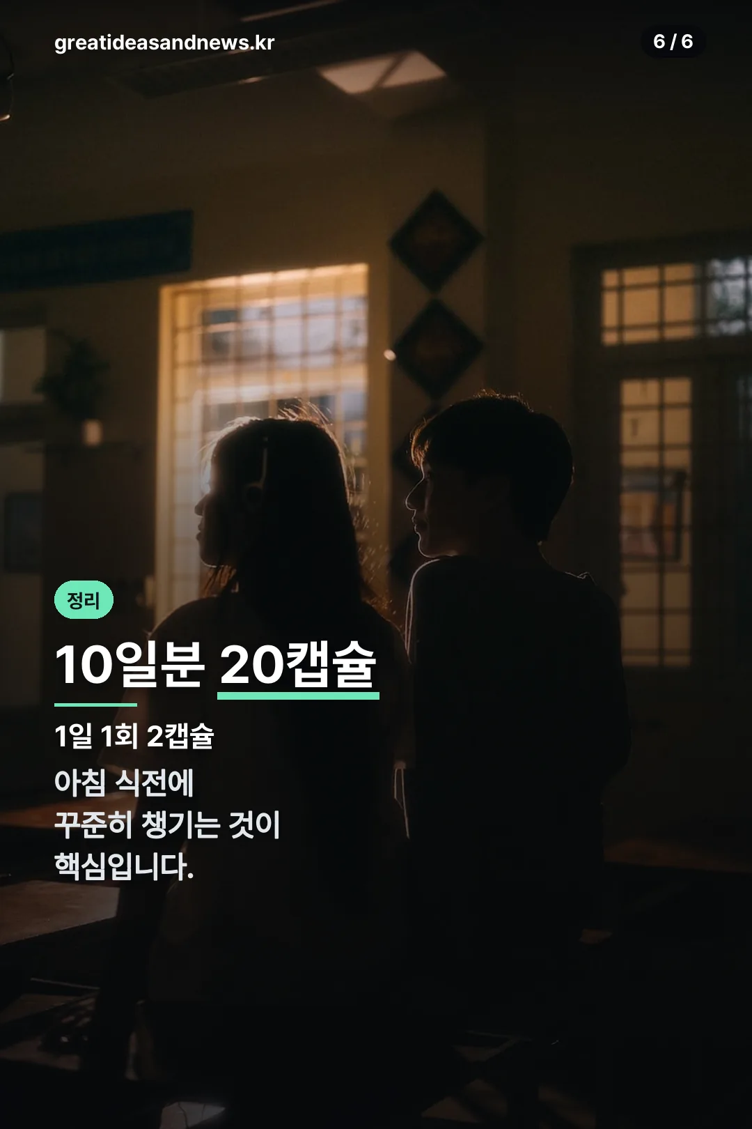 섭취법 10일분 정리