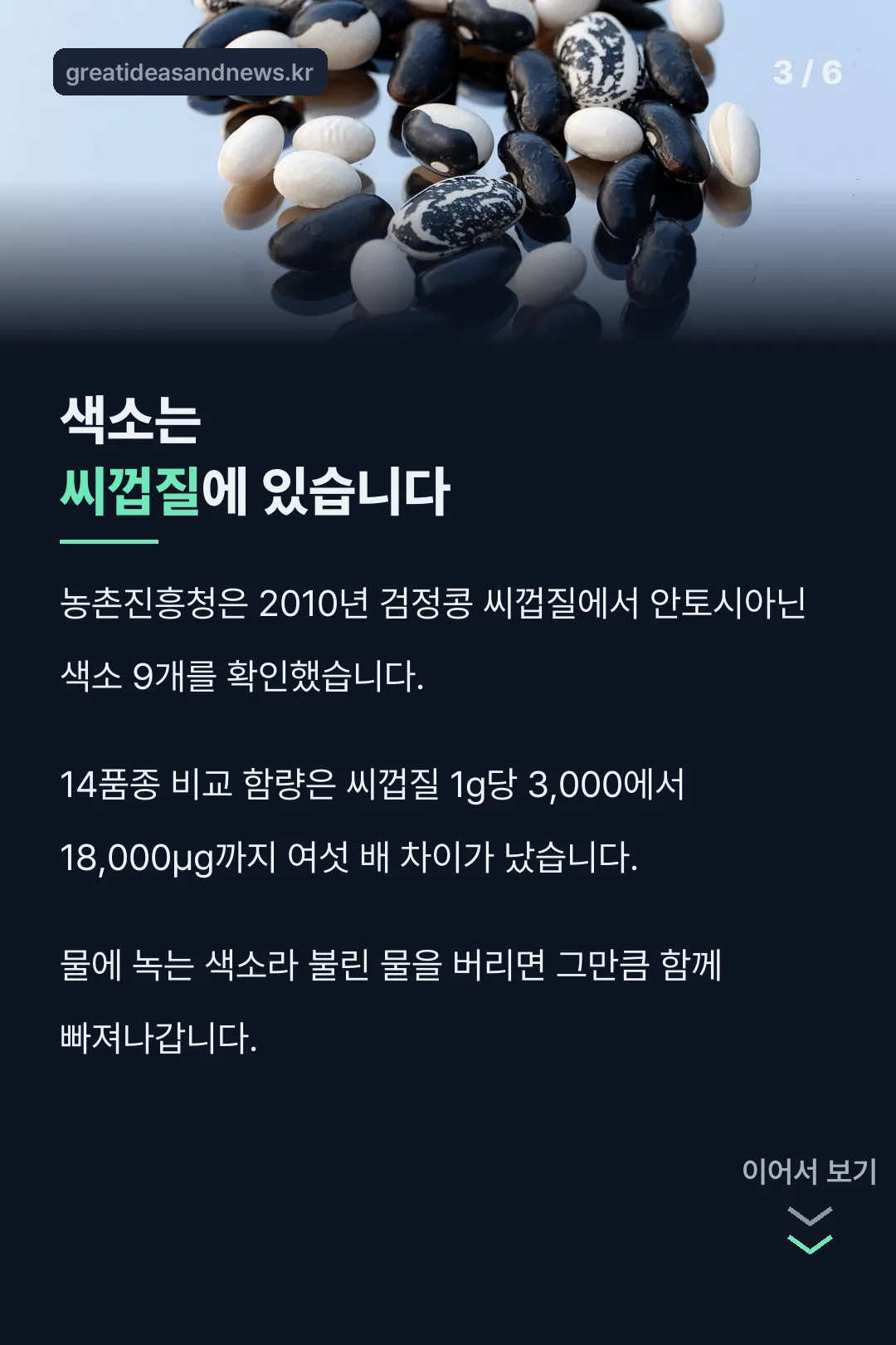 색소는 씨껍질에