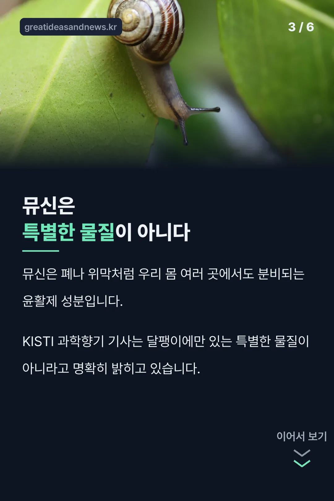 뮤신 성분 설명