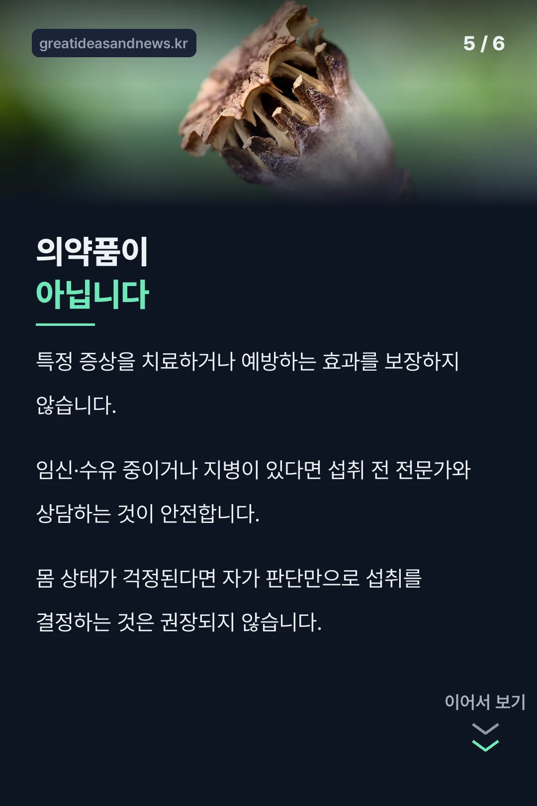섭취 주의사항