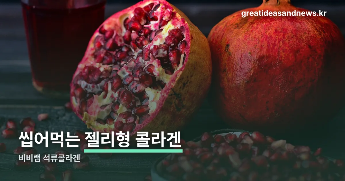 비비랩 석류콜라겐 정리 썸네일