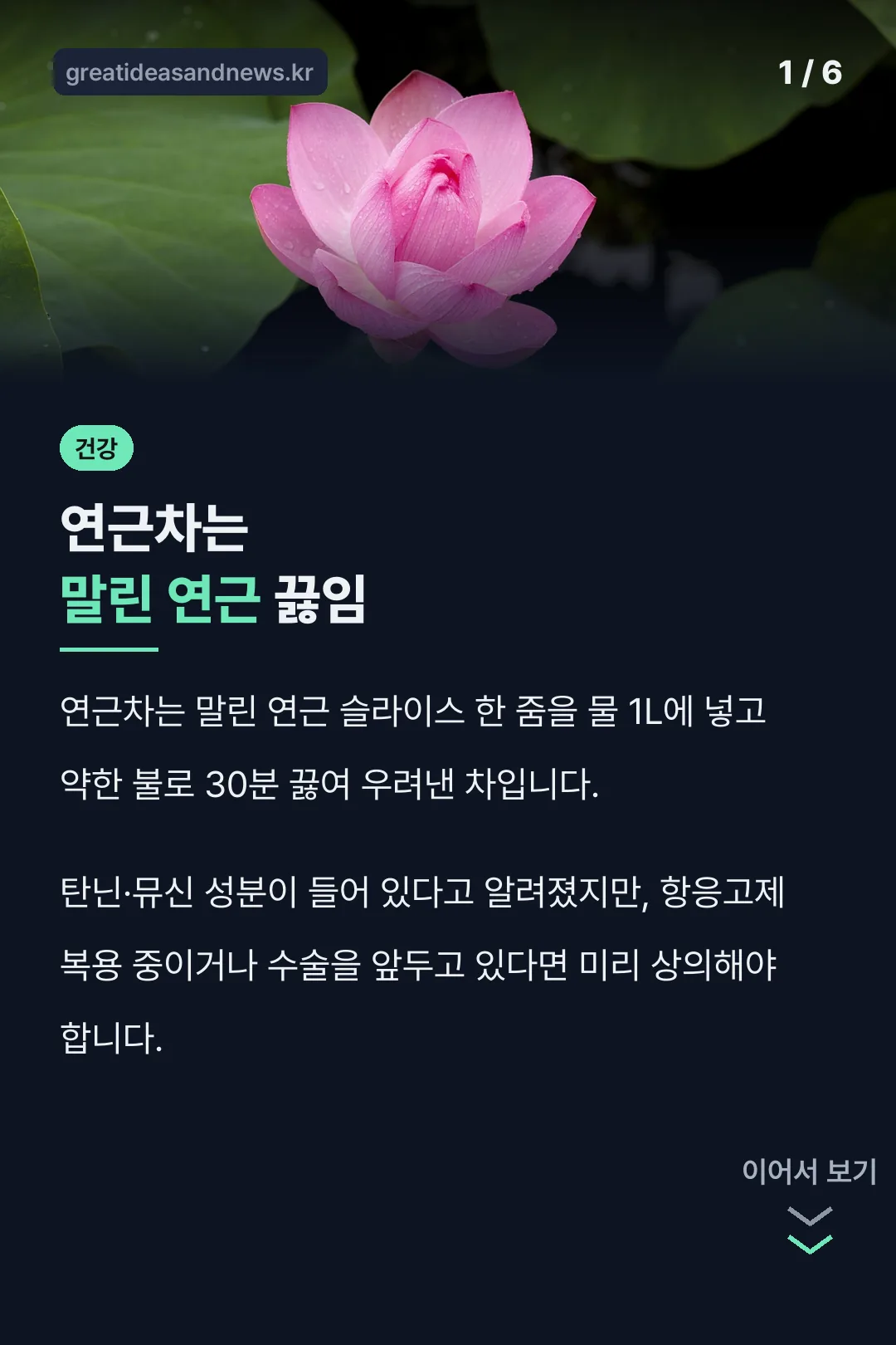 연근차는 말린 연근 끓임