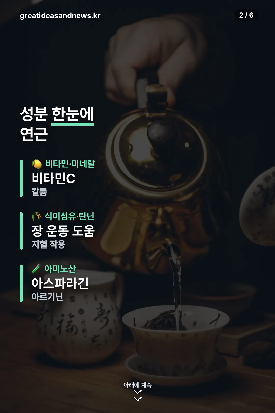 연근 성분 한눈에 보기