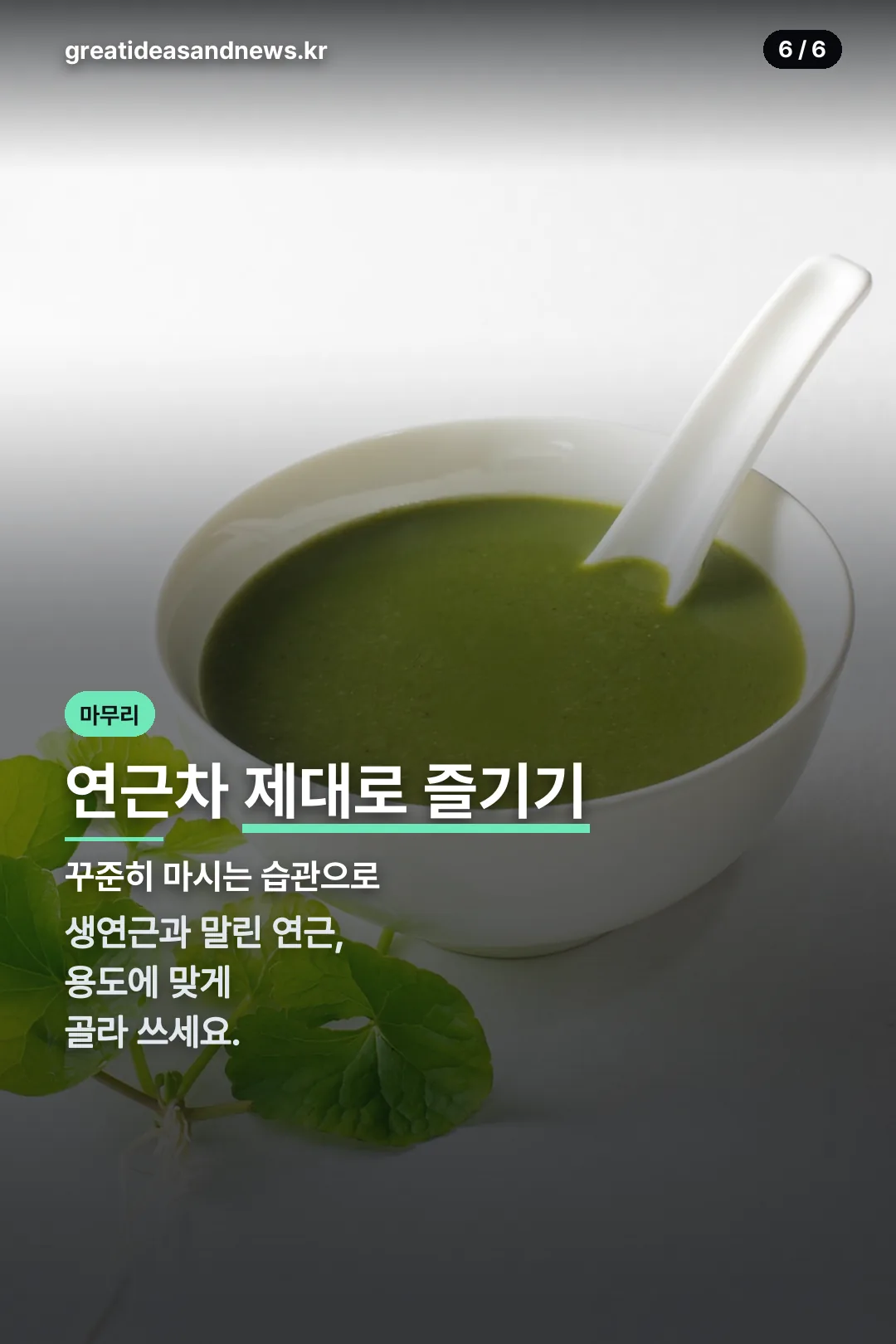 연근차 마무리 정리