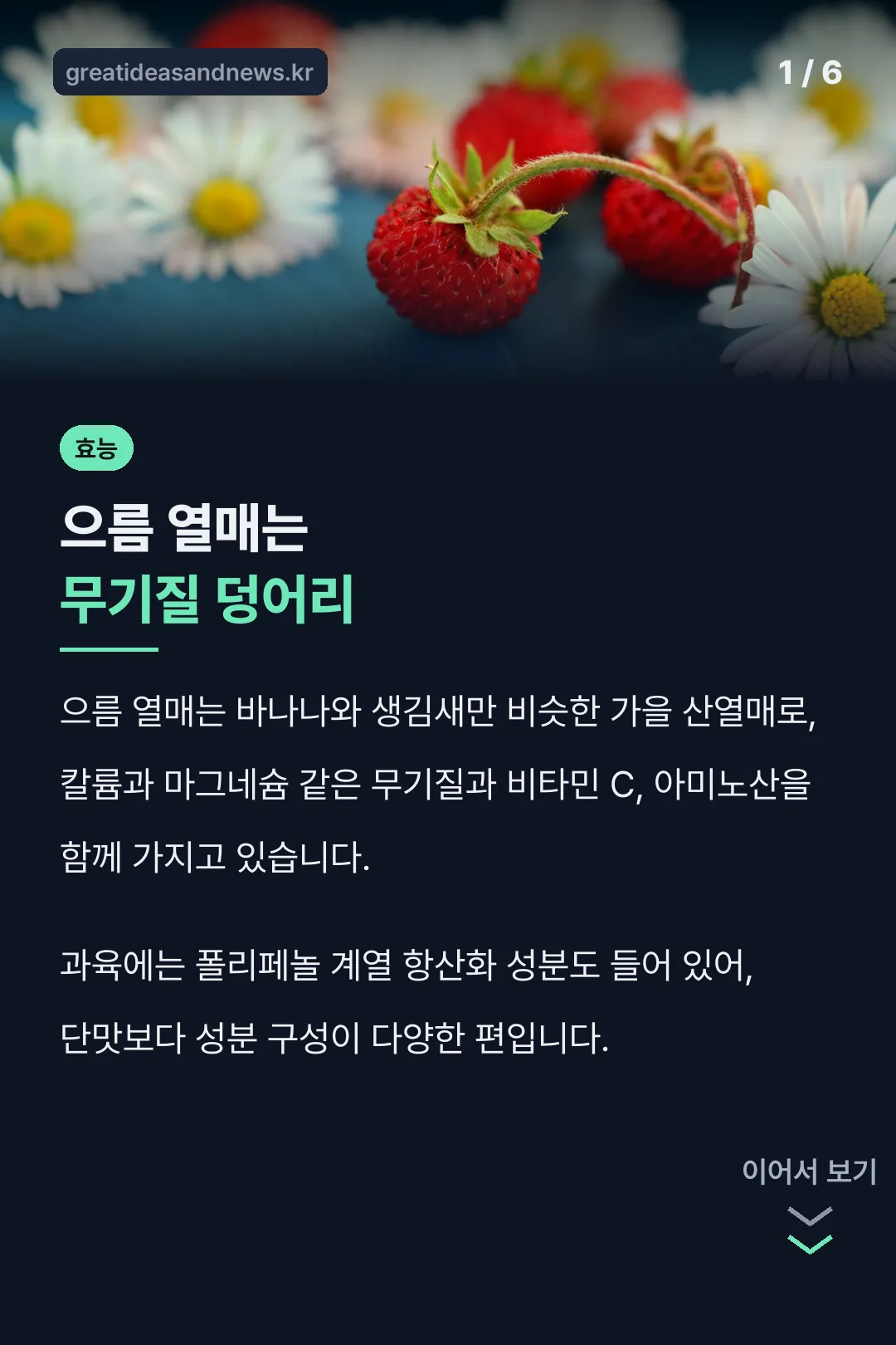 으름 열매는 바나나와 다르다
