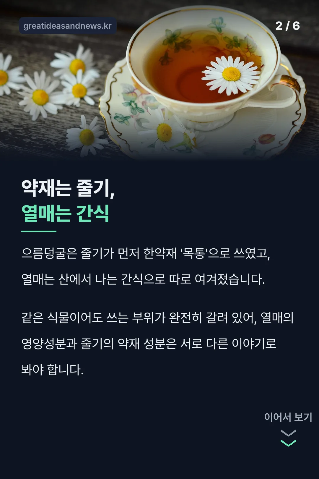 약재는 줄기, 열매는 간식