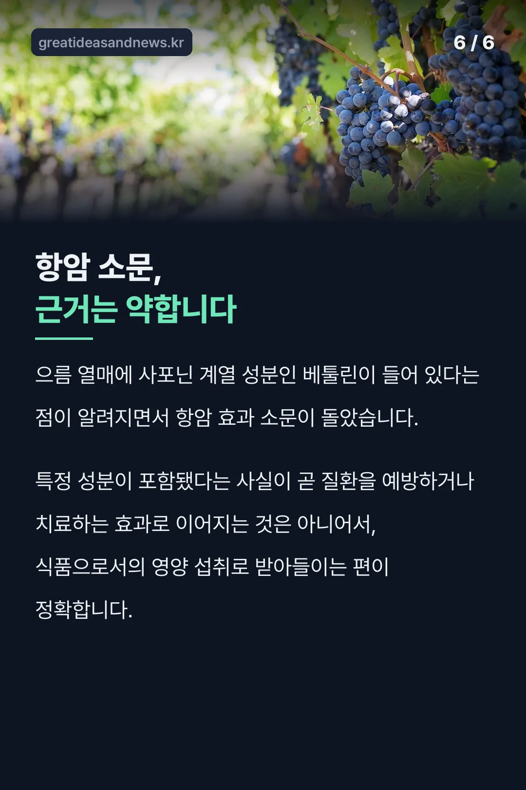 항암 소문은 근거가 약하다