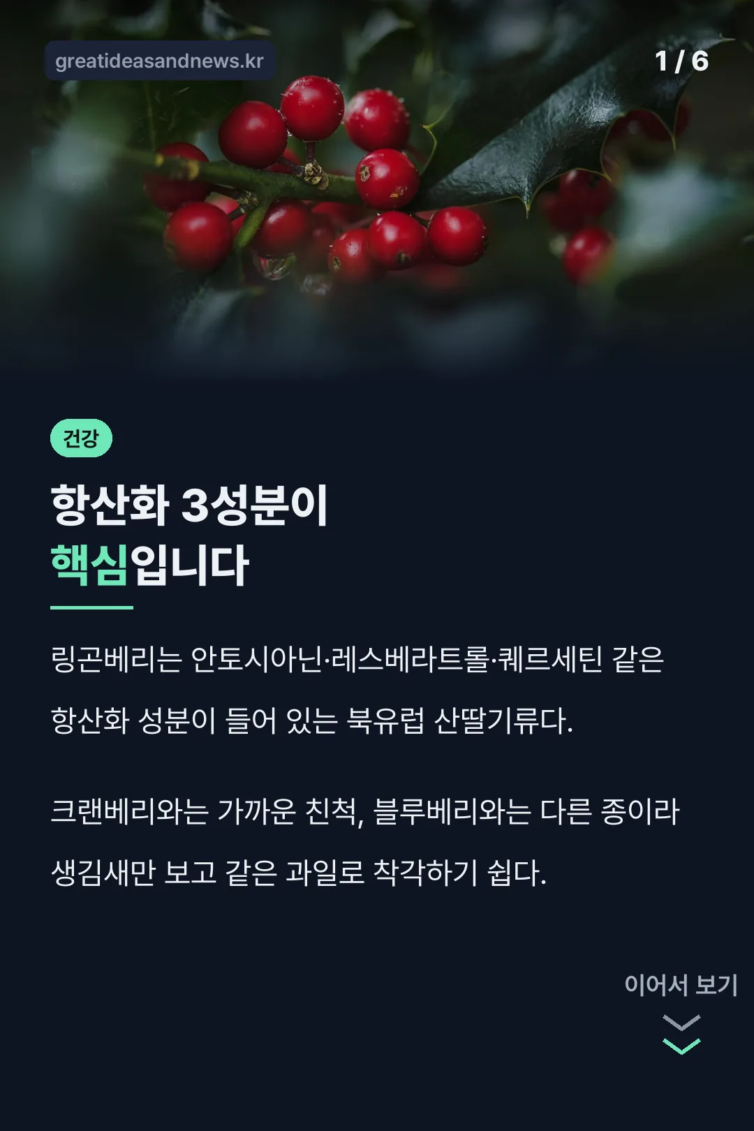 링곤베리와 크랜베리 차이
