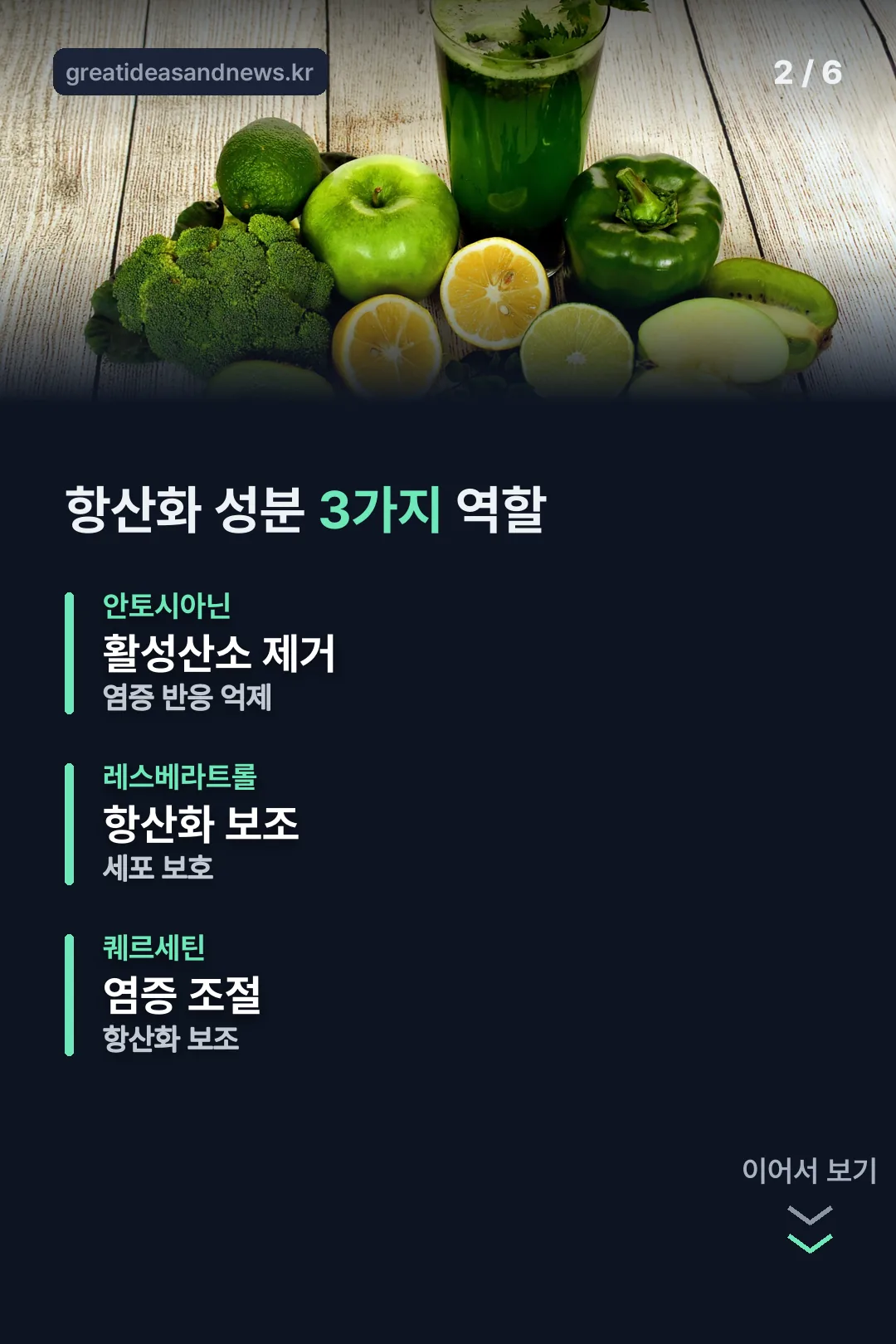 항산화 성분 3가지