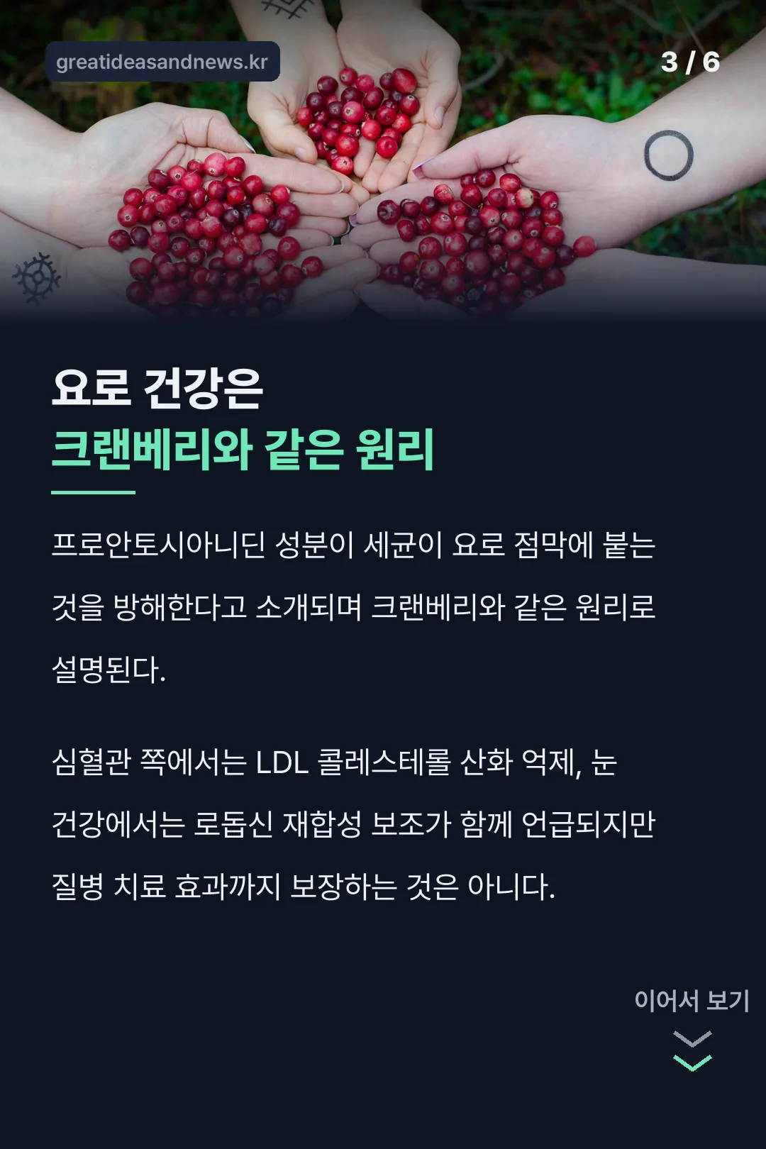 요로 건강에 미치는 작용