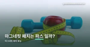 마그네핏 패치 효능 — 파스가 아니라 자석을 쓰는 의료기기입니다