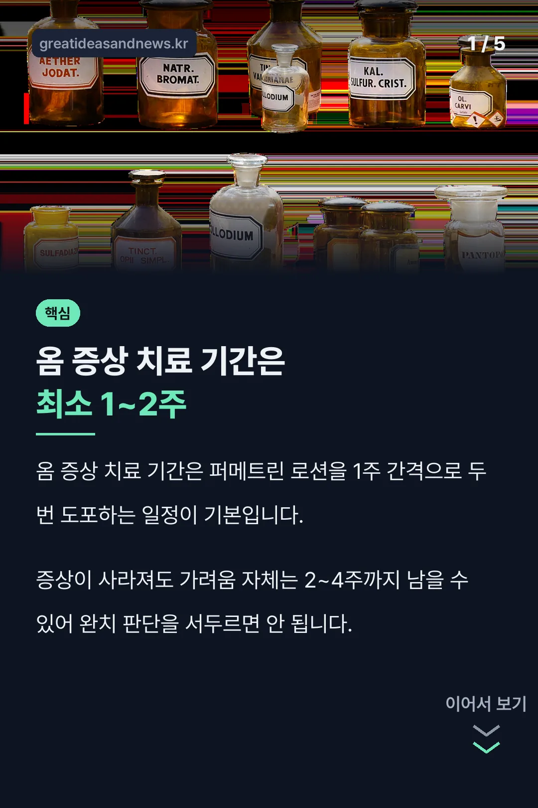 옴 증상 치료 기간 핵심