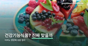 티라노 영양제 — 성분·복용법과 일반의약품 허가 정보